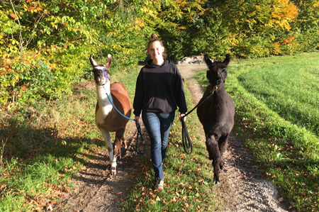Mangfall-Lamas im Schnee