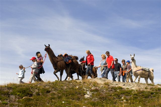 Kinder und Lamas in den Bergen
