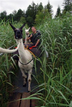 Kurz nach Königsdorf in einem Moor