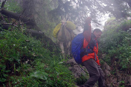 Von der Tutziger Hütte nach Vorderriss