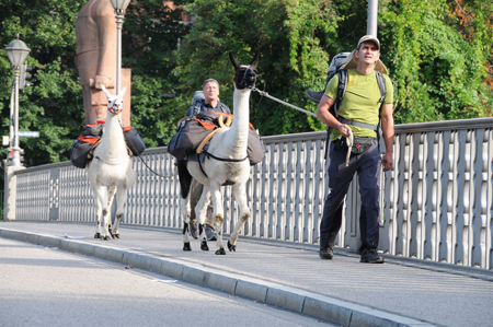 Über die Corneliusbrücke