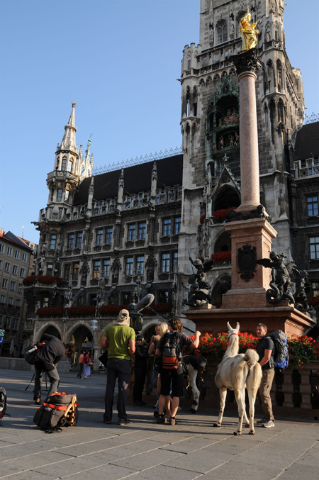 Am Marienplatz um 8 Uhr