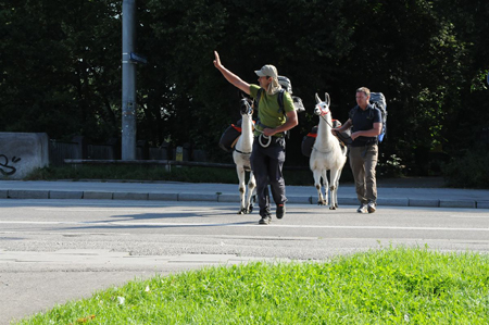 Strasseüberquerung